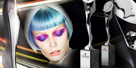 Nezávislá kadernícka súťaž Czech and Slovak Hairdressing Awards 2015, čiže aj 14. ročník súťaže Kaderník roka práve štartuje!