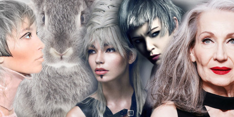 Aká je farba roka 2016? Pre vlasy rozhodne šedá, alebo tiež strieborná či šedivá. Z outsidera medzi farbami je hit pre všetky vekové kategórie!